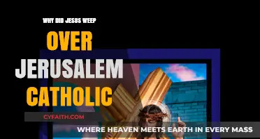 Jesus Weeps for Jerusalem: Catholic Insights into His Sorrow