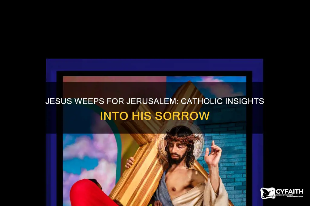 why did jesus weep over jerusalem catholic