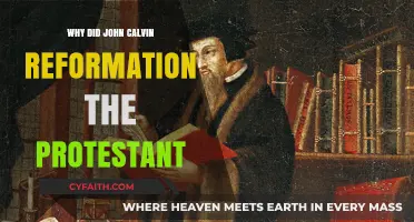 Unraveling the Reasons Behind John Calvin's Protestant Reformation