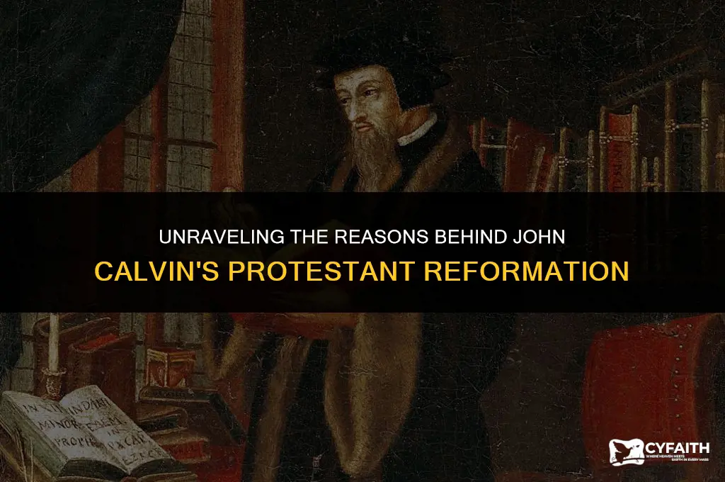why did john calvin reformation the protestant