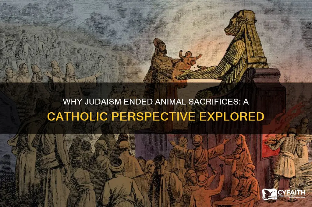why did judaism stop offering animal sacrifices catholic