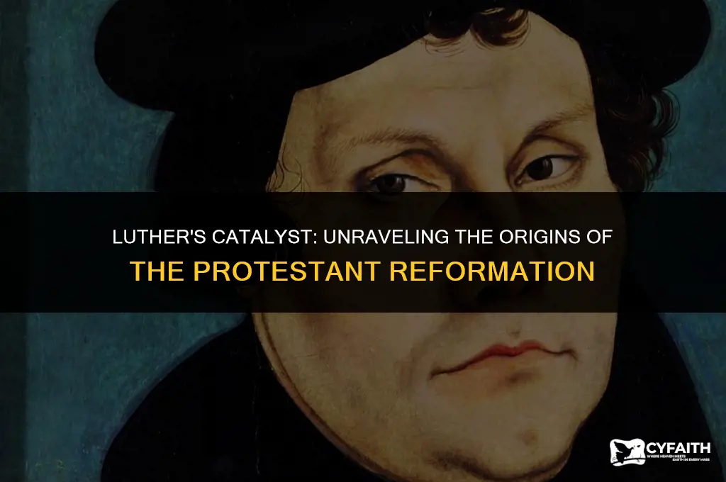 why did luther start the protestant refromation