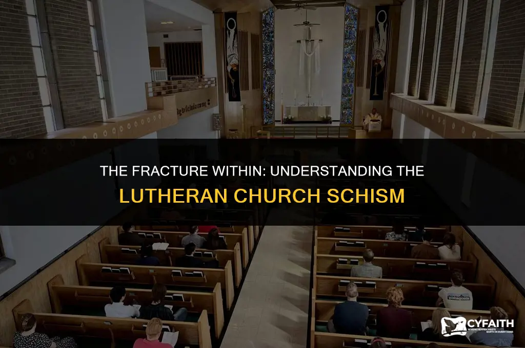 why did lutheran church split