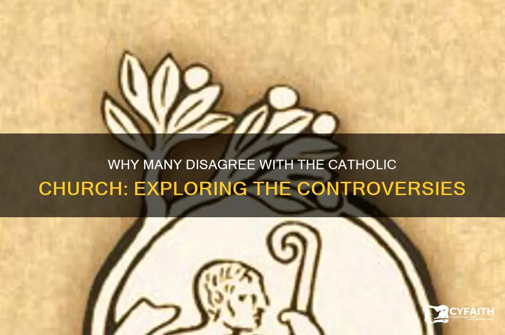 why did many people disagree with the catholic chruch