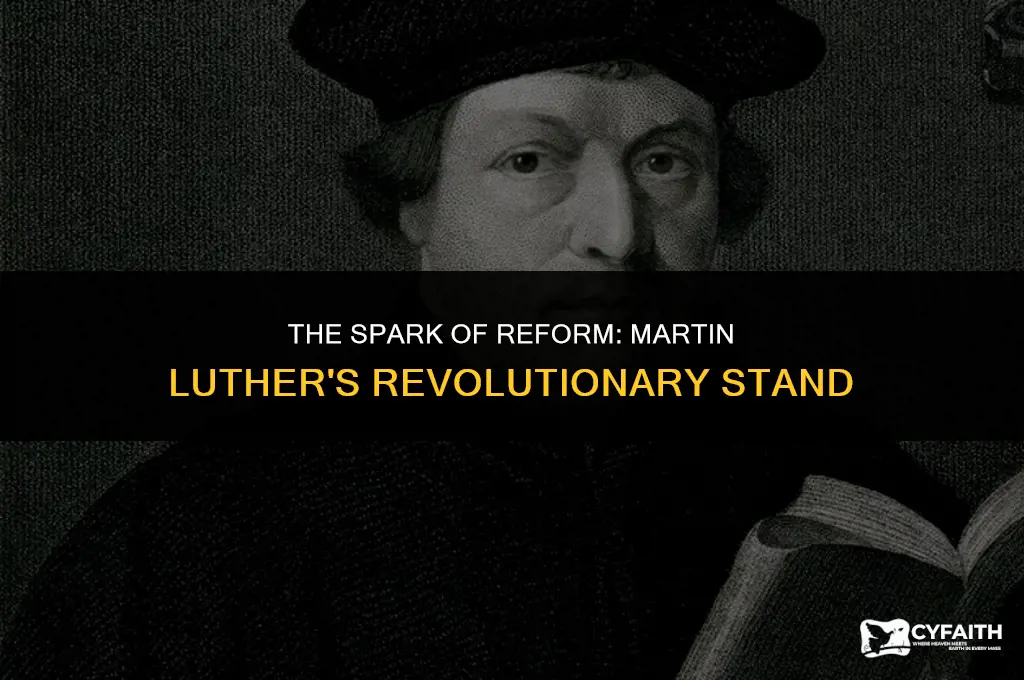 why did martin luther cause the protestant reformation