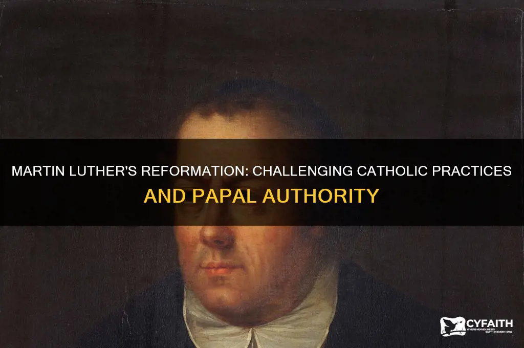 why did martin luther preach against the catholics