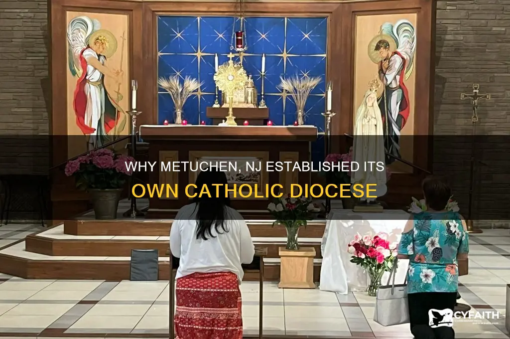why did metuchen nj have a catholic diocese