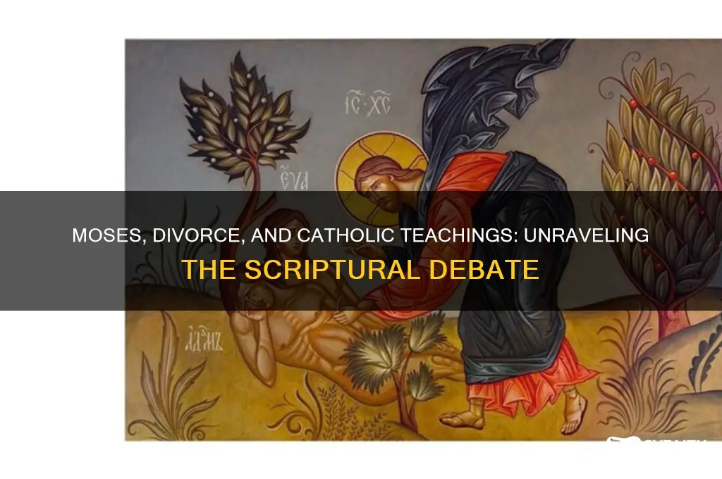 why did moses allow divorce catholic