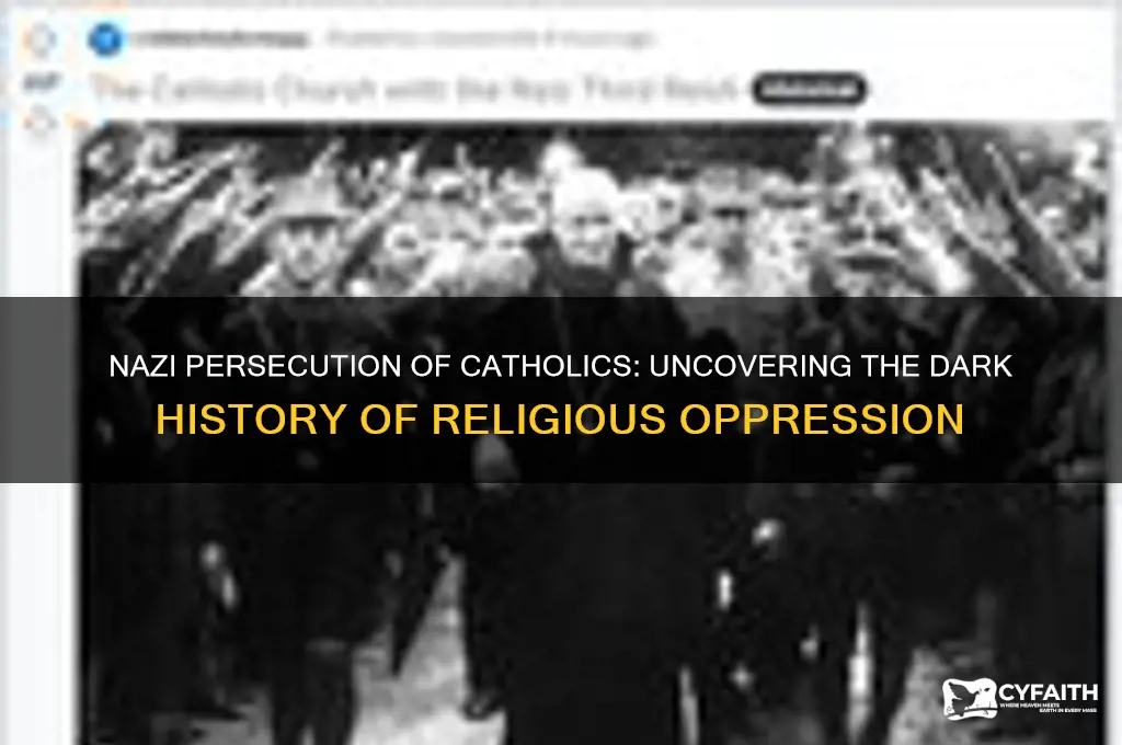 why did nazis kill catholics