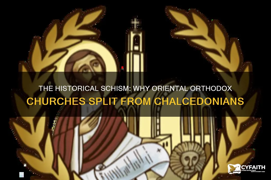 why did oriental orthodox split