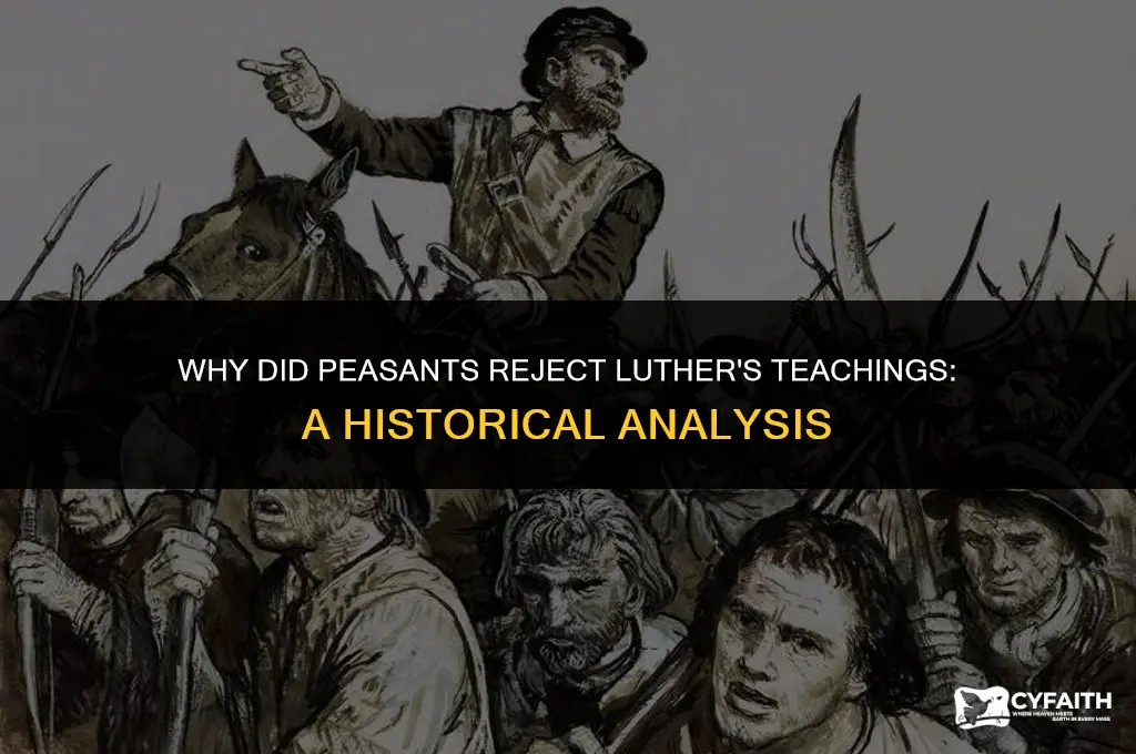 why did peasants reject luthers teachings