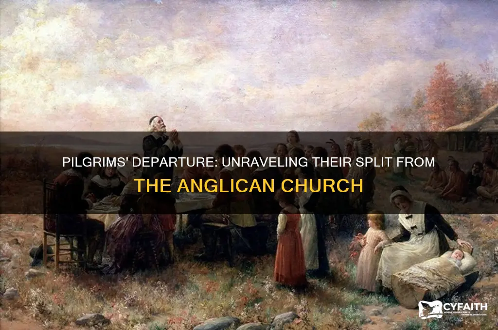why did pilgrims leave the anglican church