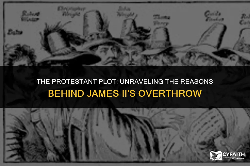 why did protestant leaders want james ii removed from office