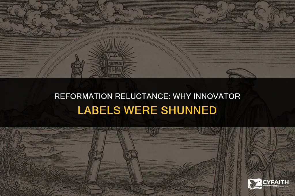 why did protestant reformers hate to be called inovators