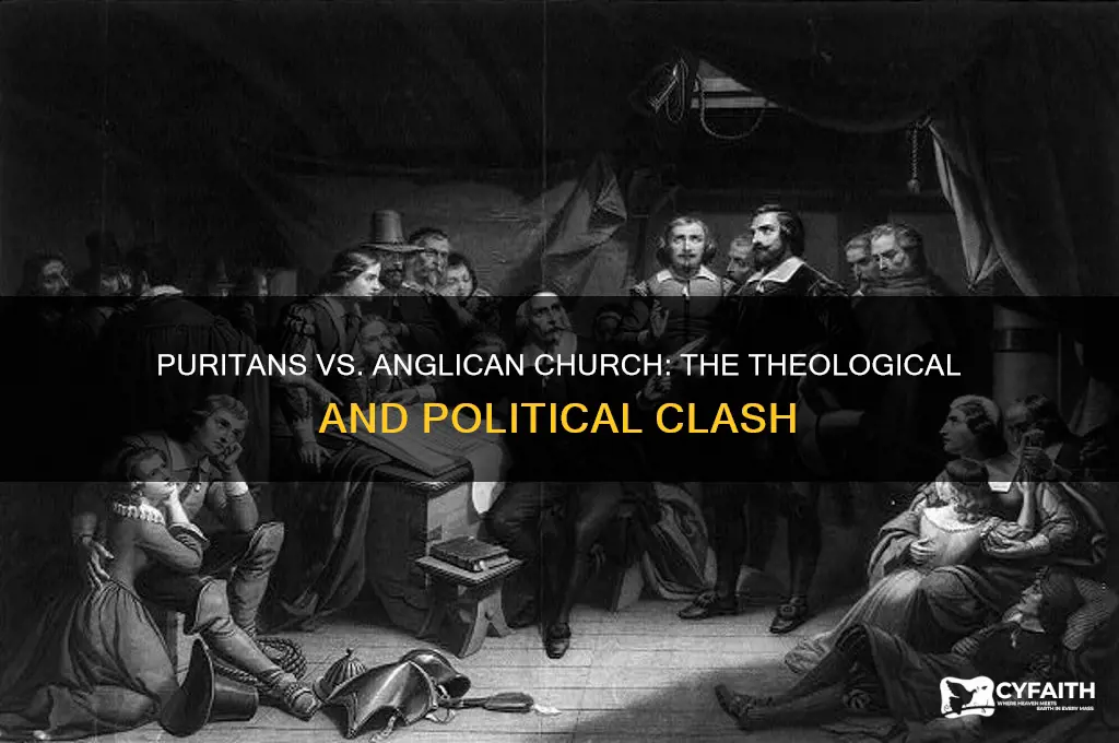 why did puritans challenge the anglican church