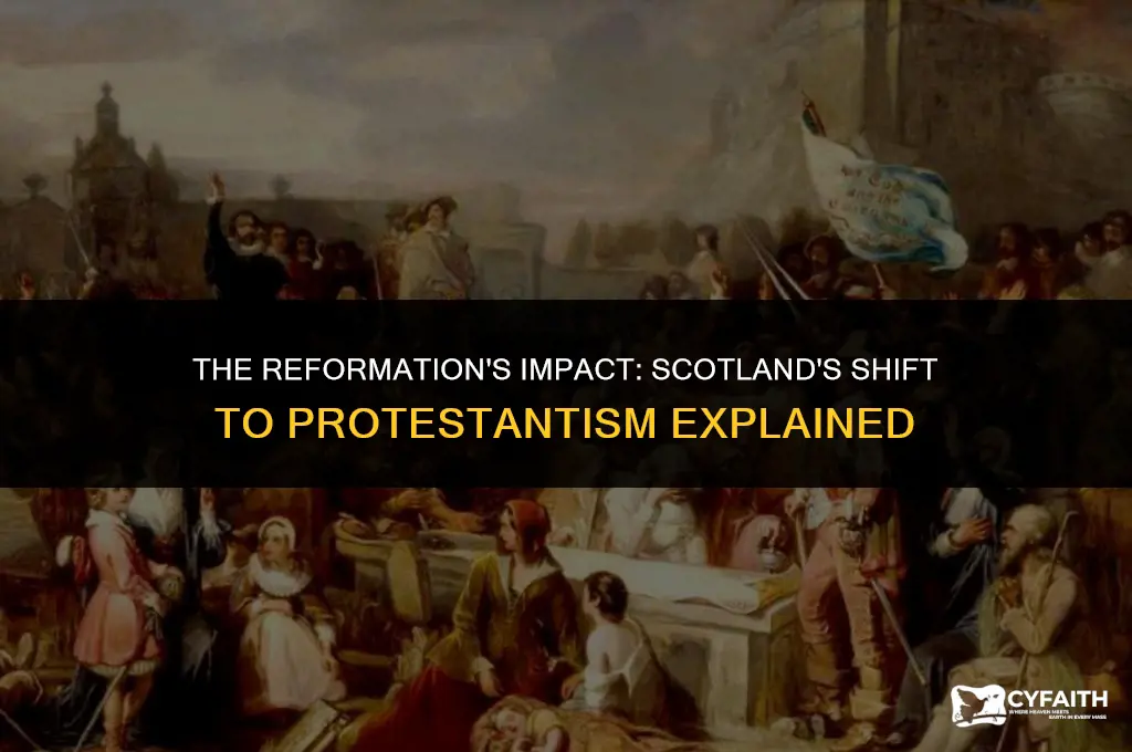 why did scotland become protestant