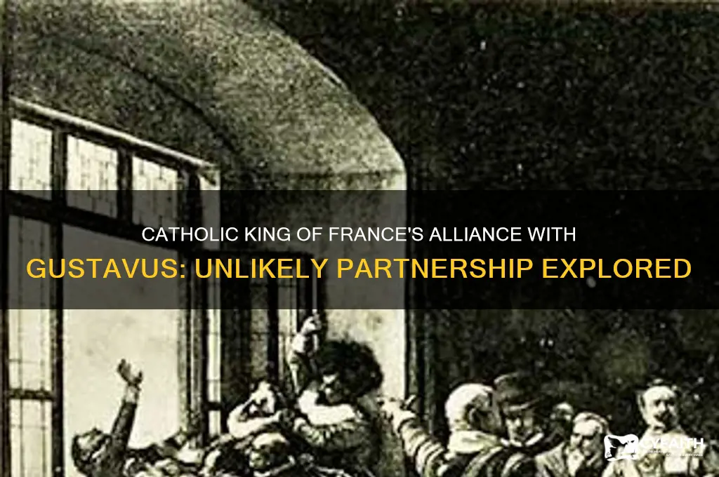 why did the catholic king of france help gustaver