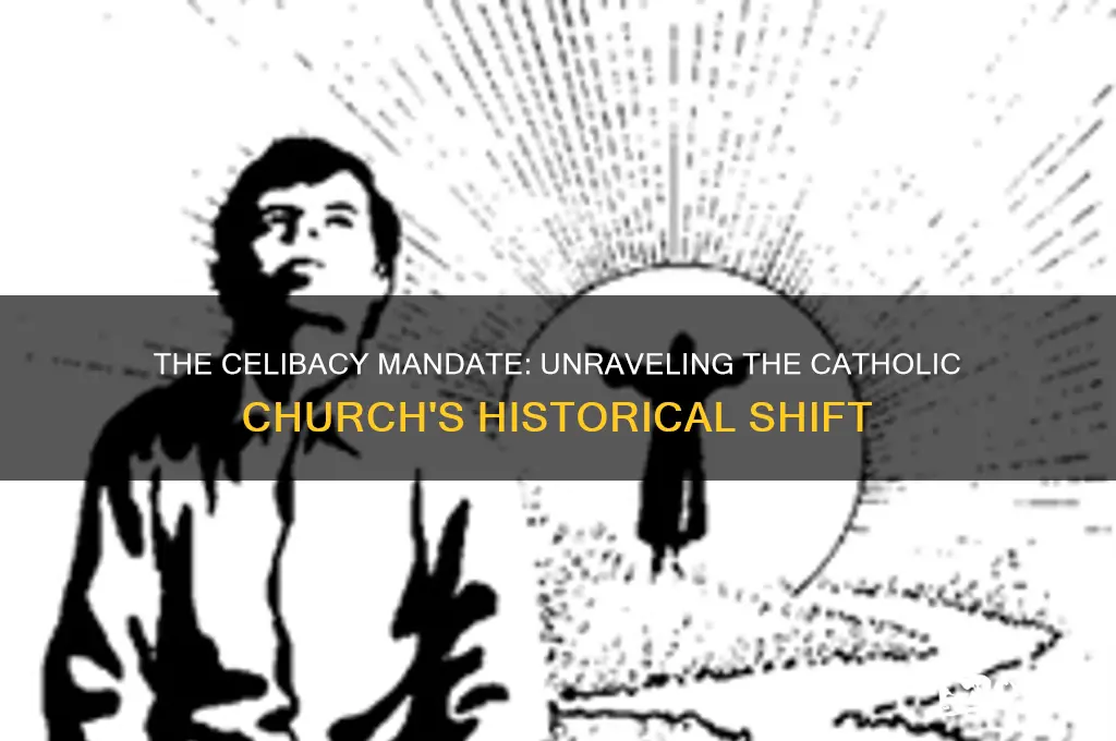 why did the catholic shurch become celibate