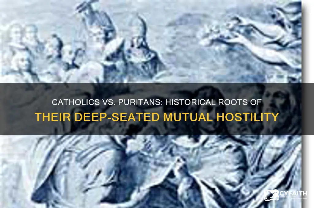 why did the catholics and purtians hate each other