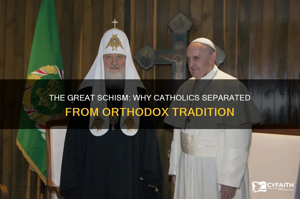 why did the catholics leave orthodoxy