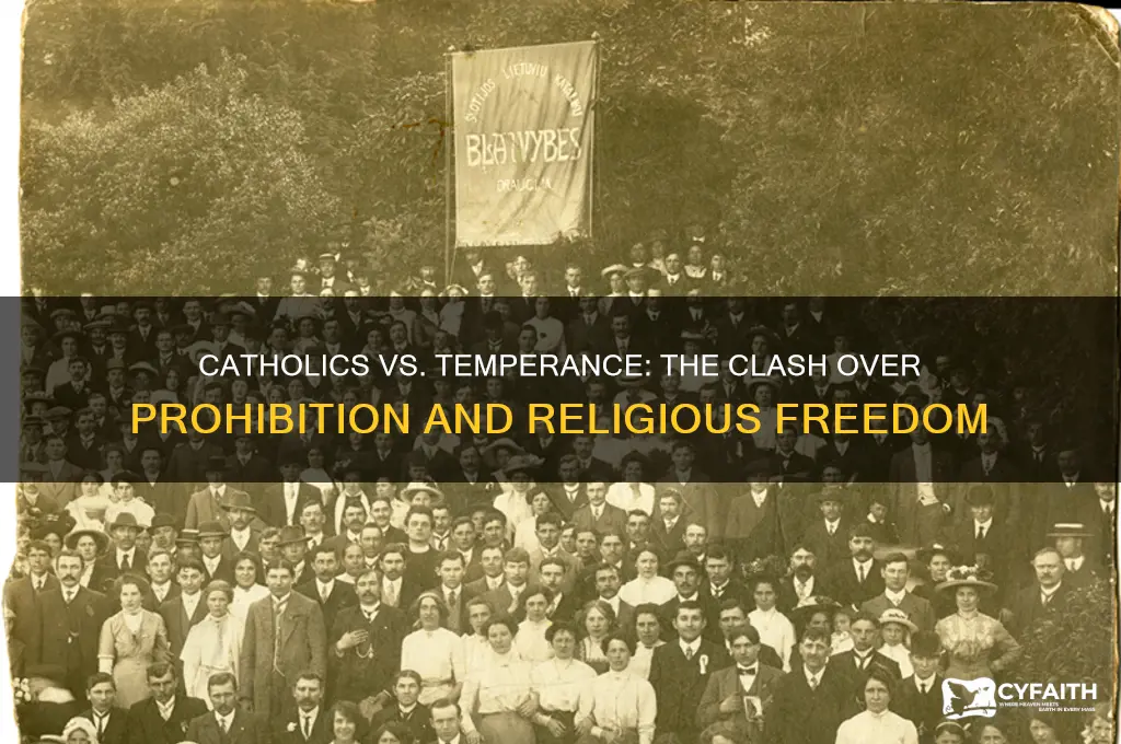 why did the catholics rally against temperance movement
