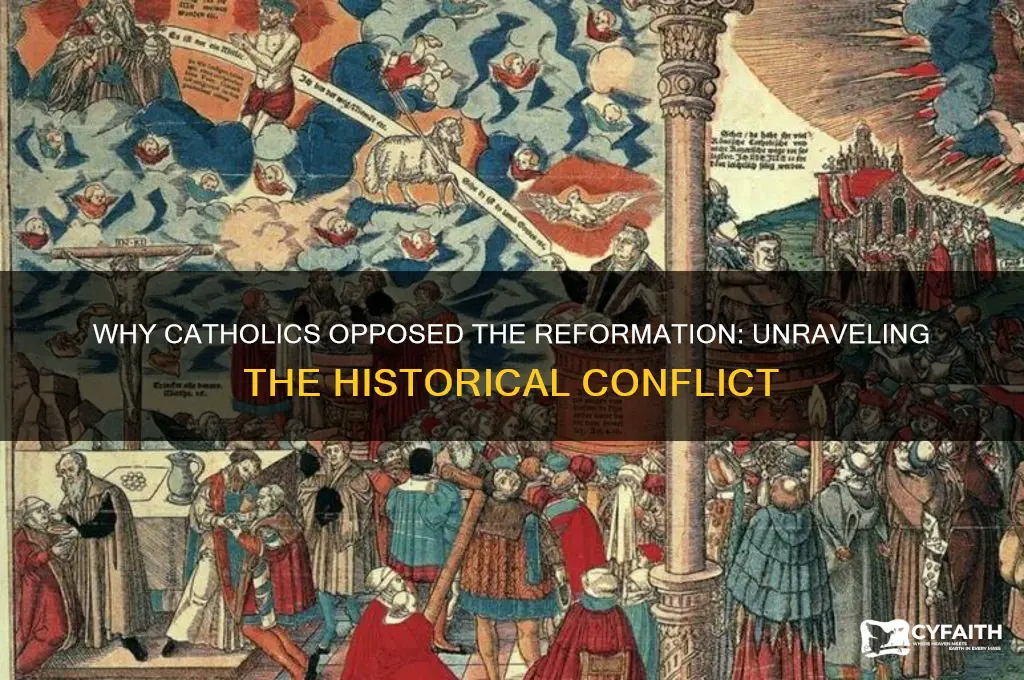 why did the catholics target the reform