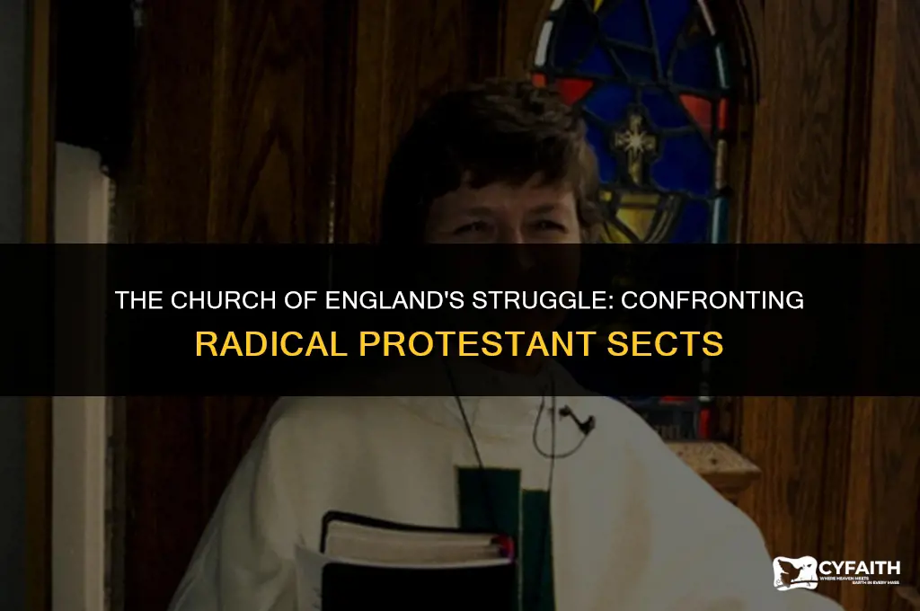 why did the church of england attempt radical protestant sects