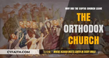 The Coptic Church's Split: Reasons for Leaving the Orthodox Communion