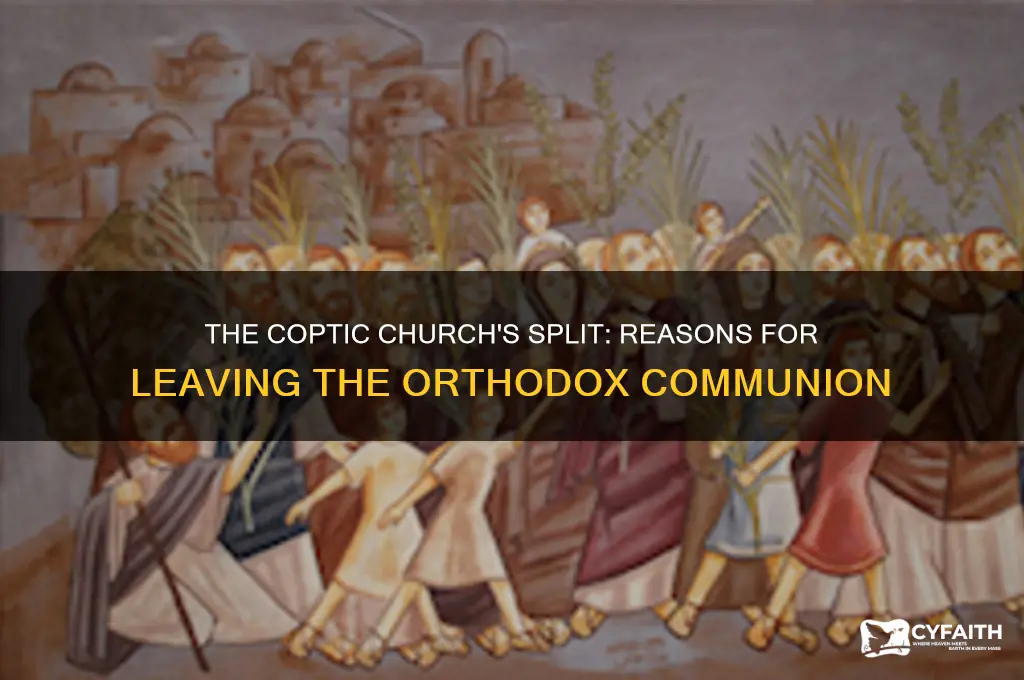 why did the coptic church leave the orthodox church