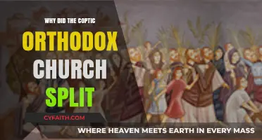 The Coptic Orthodox Church Schism: Historical Causes and Divisions Explained