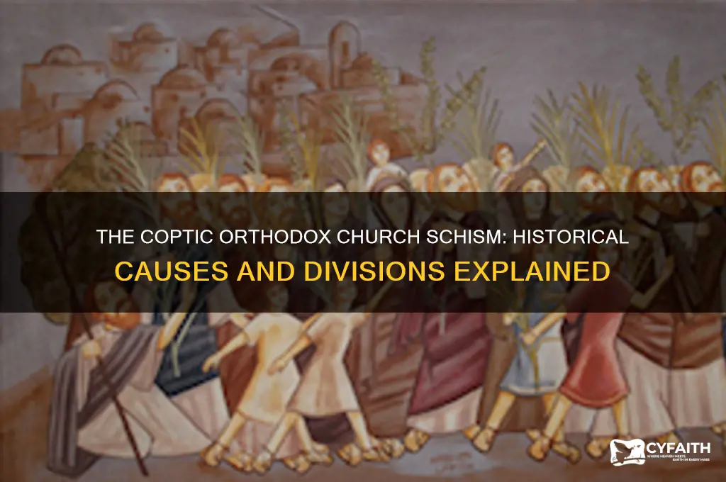 why did the coptic orthodox church split