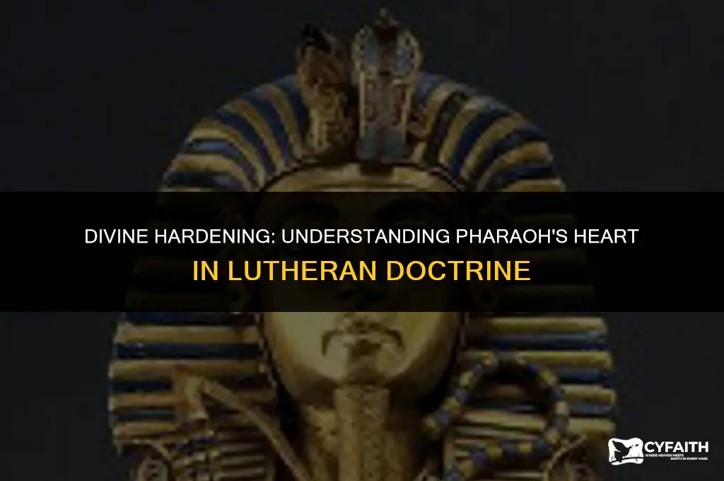 why did the lord hardened pharaoh