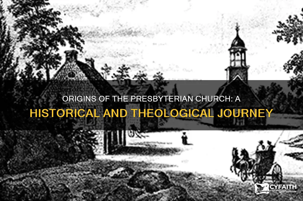 why did the presbyterian church start