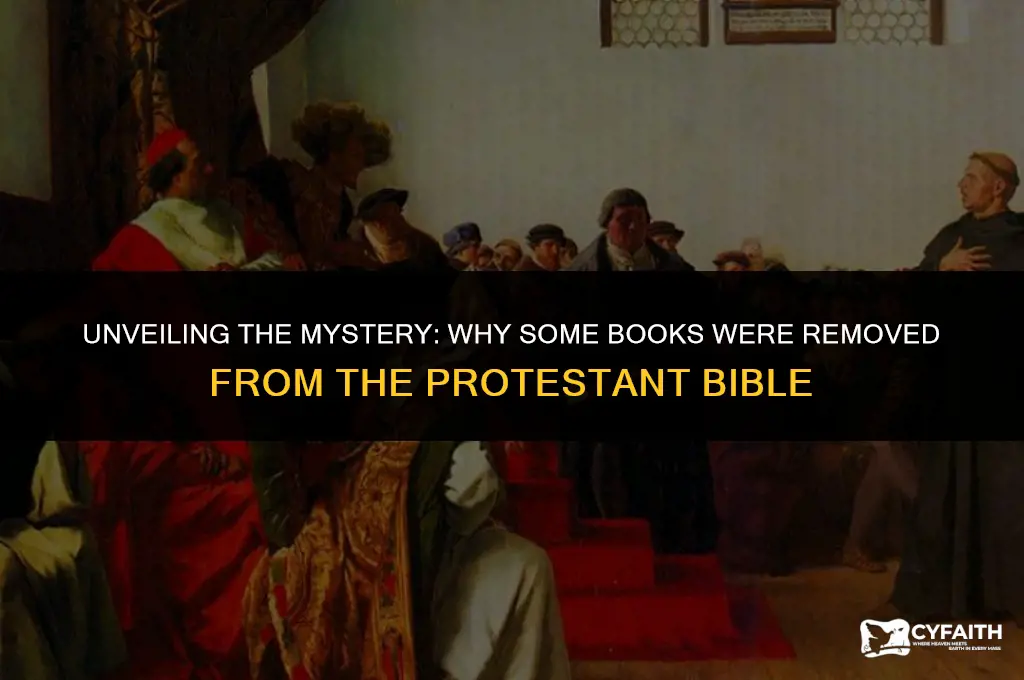 why did the protestant bible remove books