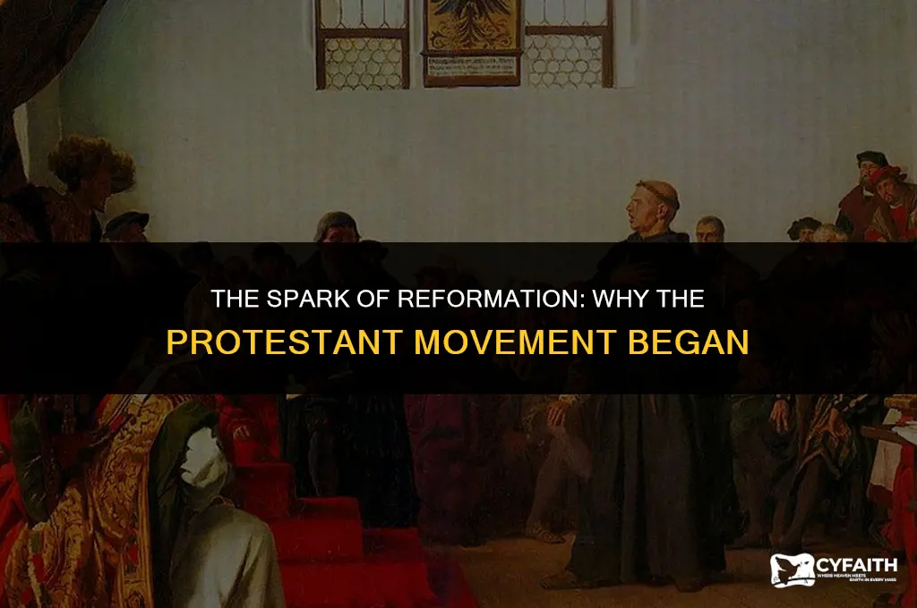 why did the protestant movement began