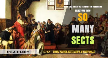 The Fracturing of Protestantism: A Historical Exploration of Sectarianism