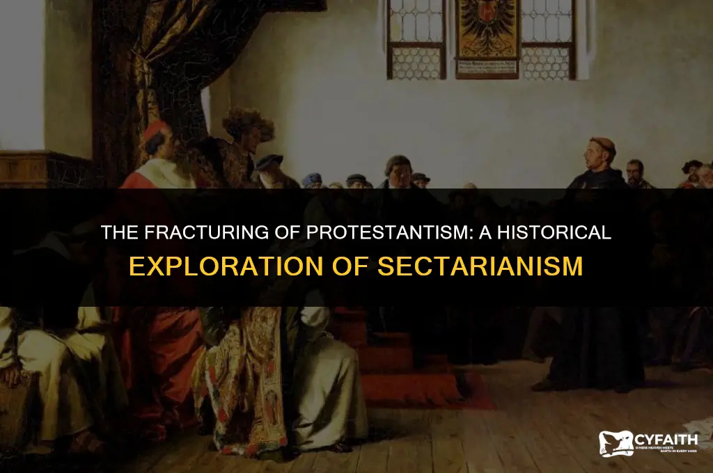 why did the protestant movement fracture into so many sects