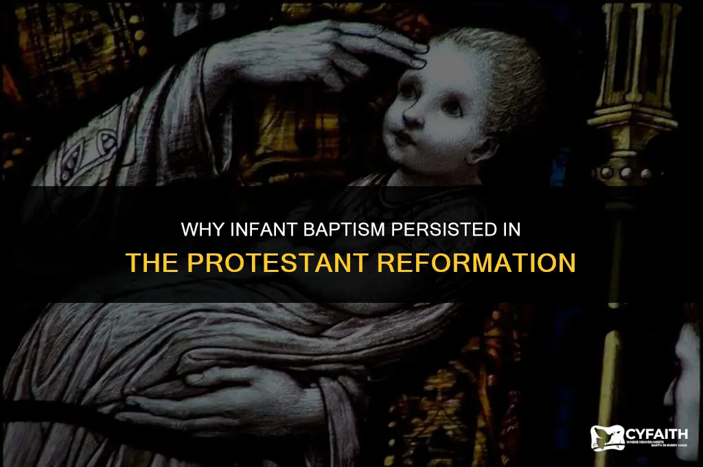 why did the protestant reformation keep infant baptism