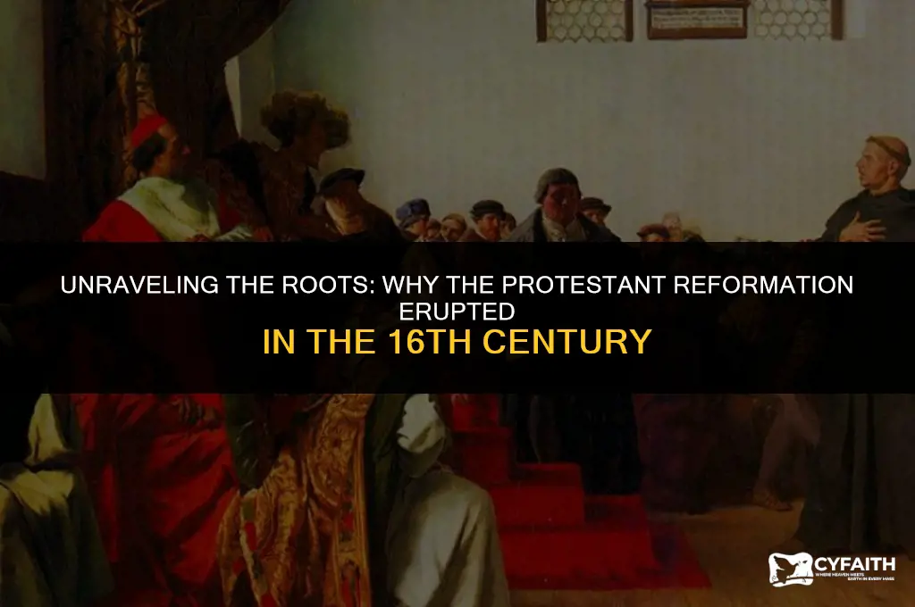 why did the protestant reformation occur in the 16th century