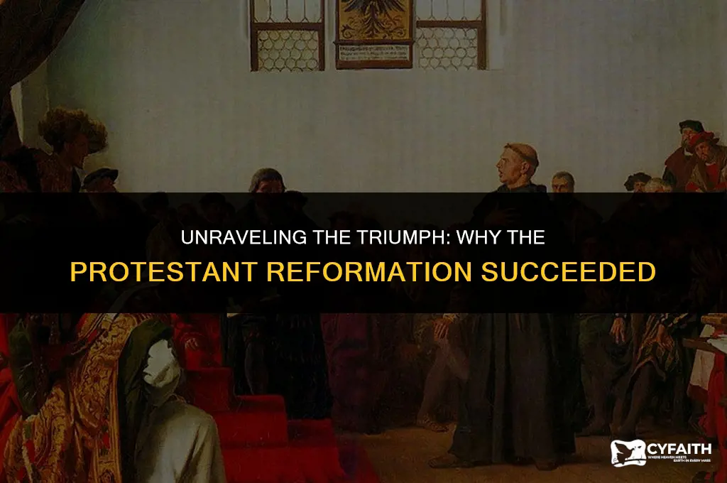 why did the protestant reformation succeed jstor