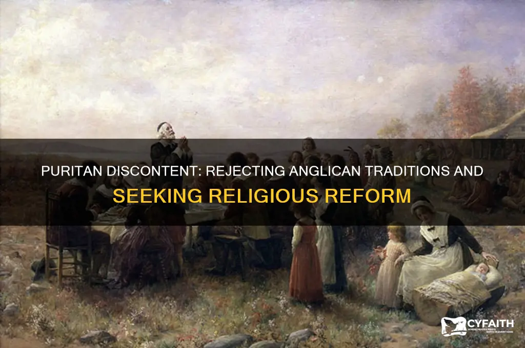 why did the puritans not like the anglican church