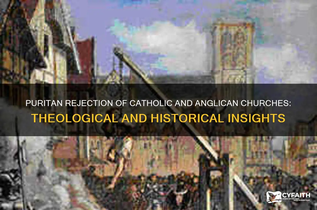 why did the puritans reject catholic and anglican churches