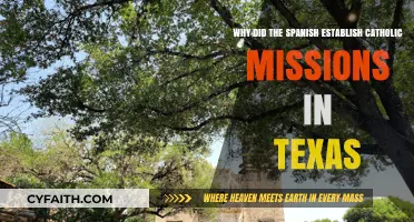 Spanish Catholic Missions in Texas: Religious Expansion and Colonial Goals