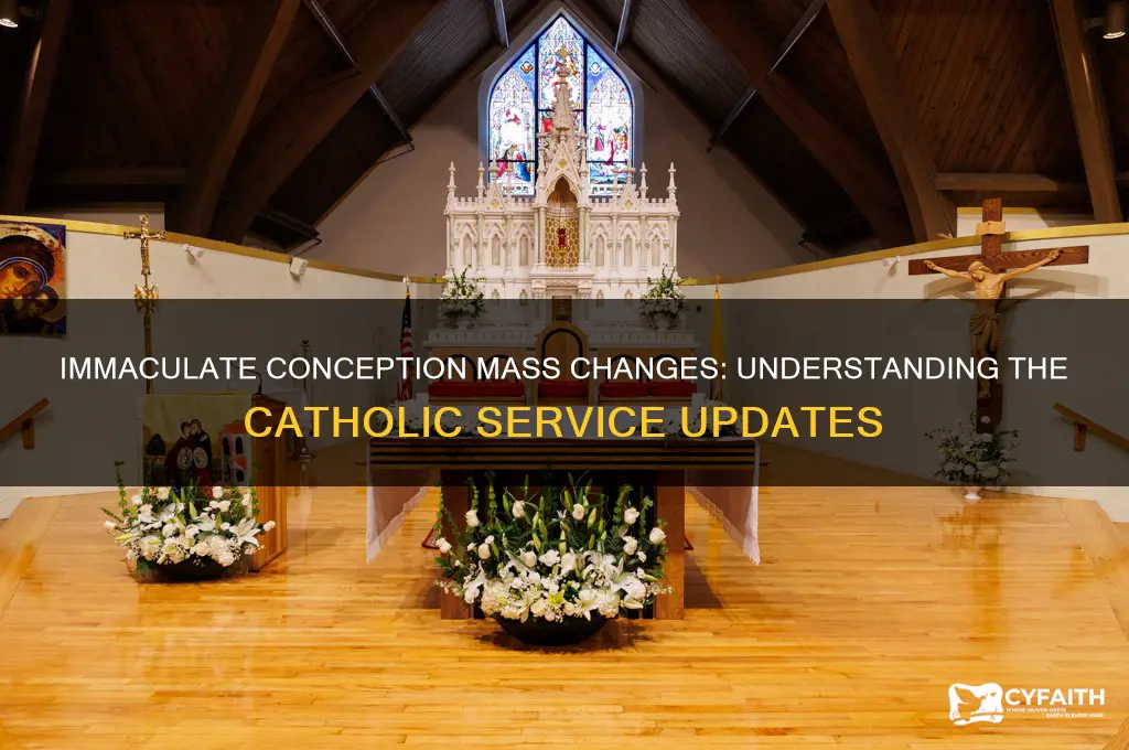 why did they change catholic service for the imaculate conception