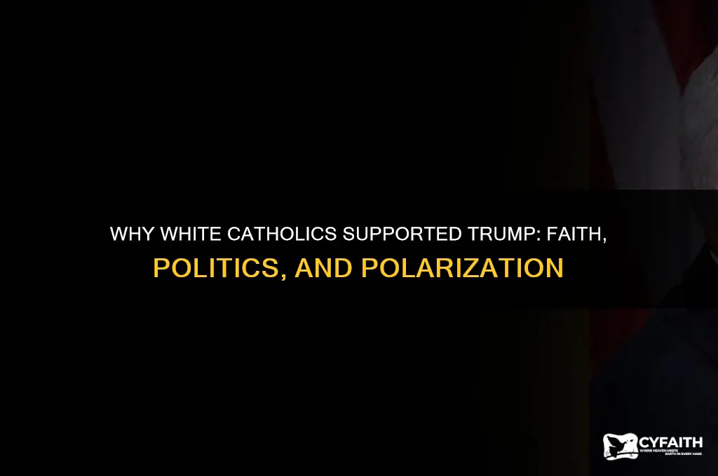 why did white catholics vote for trump