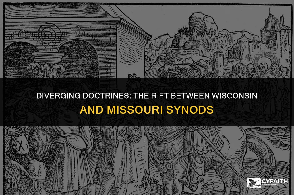 why did wisconsin lutheran synod break with missouri synod