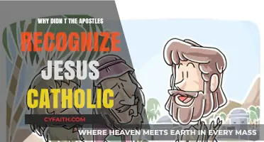 Why Didn't the Apostles Recognize Jesus in Catholic Tradition?