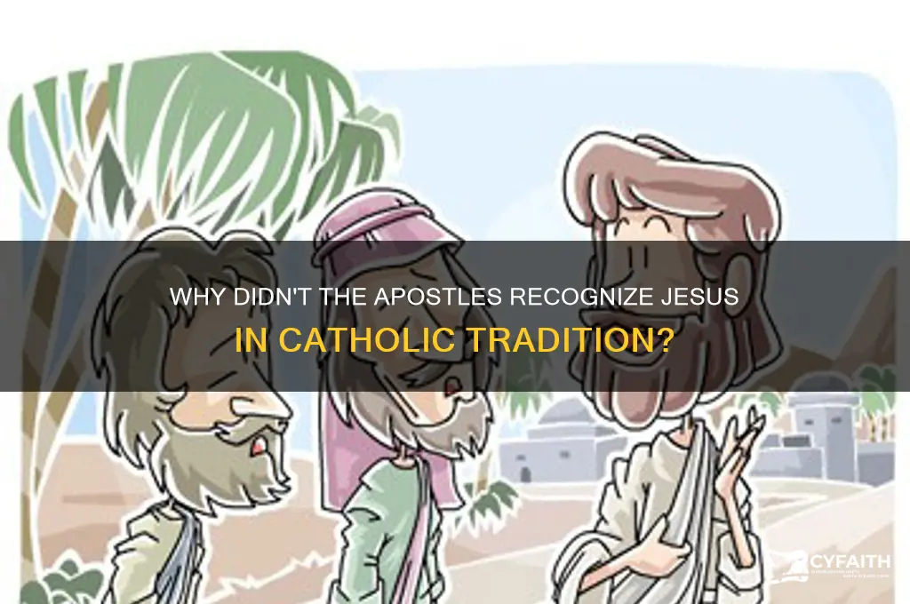 why didn t the apostles recognize jesus catholic