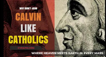 John Calvin's Catholic Critique: Historical Roots and Theological Disagreements