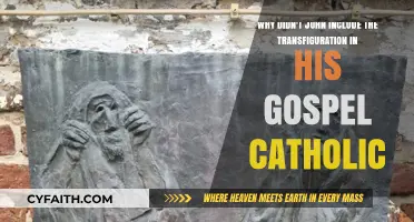 Why John's Gospel Omits the Transfiguration: A Catholic Perspective